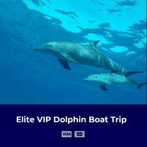 Elite VIP Dolphin Boat Trip 1 Luxury Snorkeling in Hurghada
